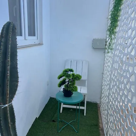 New Garden Mairena del Aljarafe