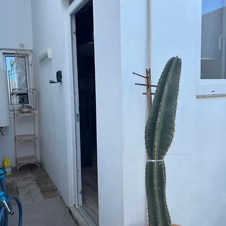 New Garden * Mairena del Aljarafe