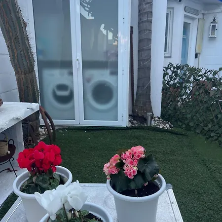 New Garden * Mairena del Aljarafe