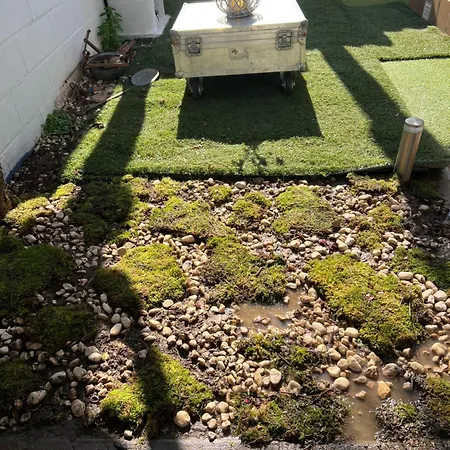 Apartment New Garden